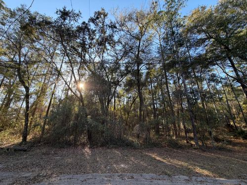 TBD Ne 150th Ave, Fort Mc Coy, FL, 32134 | Card Image
