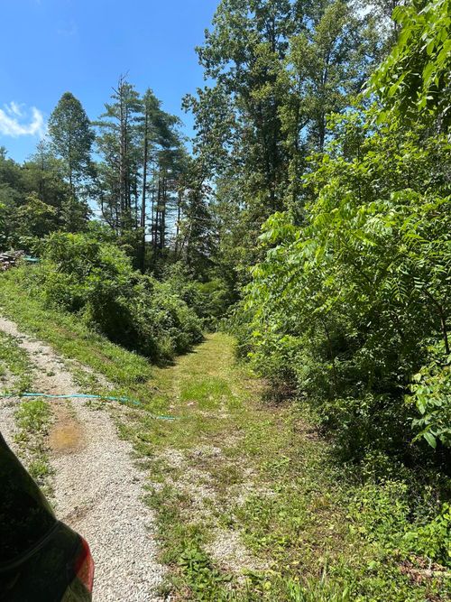 139 Dorsey Tolson Rd, Campton, KY, 41301-8714 | Card Image