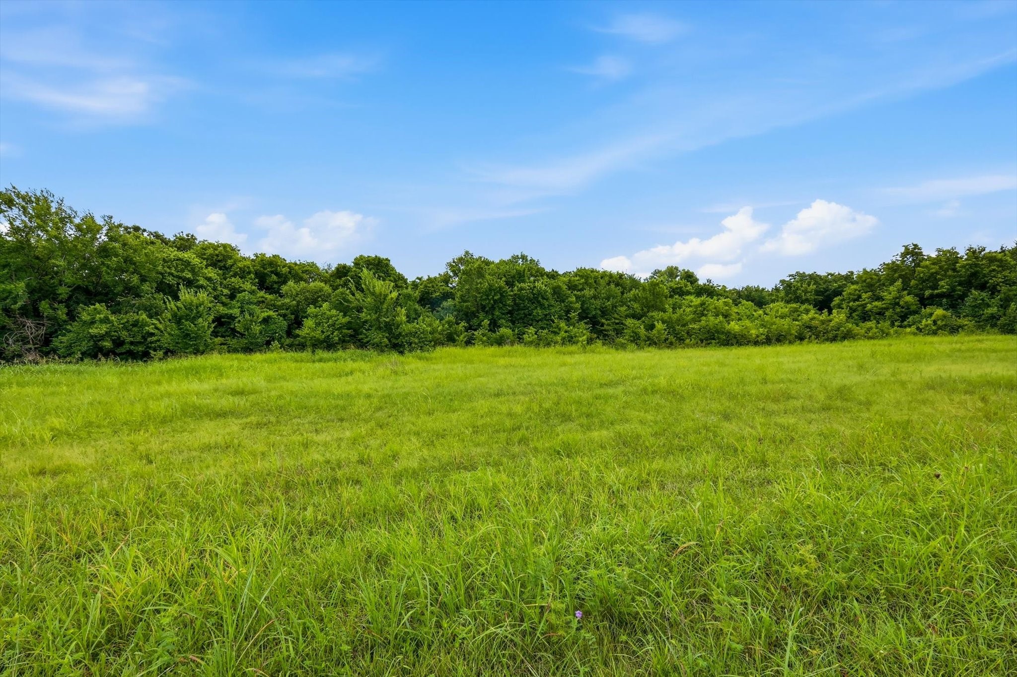 Land in Honey Grove 3