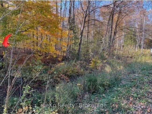 PTLT 17 Grey Road 17 N/A, Home with 0 bedrooms, 0 bathrooms and null parking in Georgian Bluffs ON | Image 18