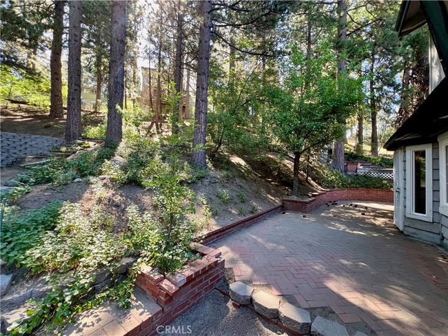 Back yard | Image 43
