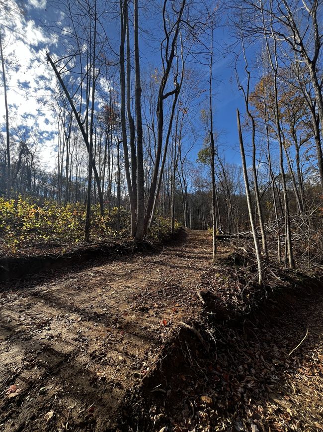 0 Northcutts Cove Rd, Home with 0 bedrooms, 0 bathrooms and null parking in Beersheba Springs TN | Image 23
