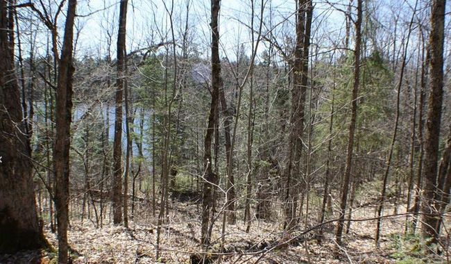 0 Contau Lake Rd, Home with 0 bedrooms, 0 bathrooms and null parking in Gooderham ON | Image 6