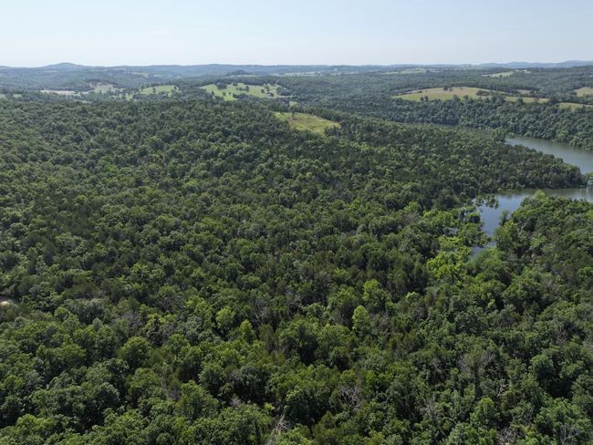 dji_fly_20250620_102658_0019_17504331122 | Image 27