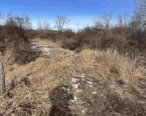 000 Grapevine Ave, TOMAH, WI, 54660 | Card Image