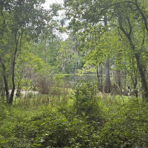 LOT-137 Amite River Rd, Baton Rouge, LA, 70817 | Card Image