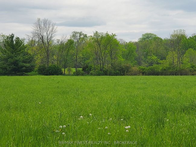 4677 Petworth Rd, Home with 0 bedrooms, 0 bathrooms and null parking in Harrowsmith ON | Image 5