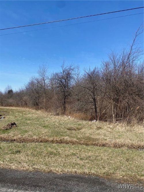 1955 Youngstown Wilson Rd, Ransomville, NY, 14131-9633 | Card Image