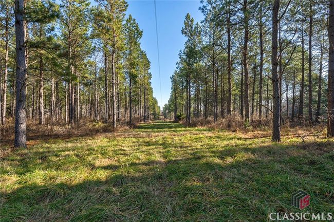 0 Hwy 77, Home with 0 bedrooms, 0 bathrooms and null parking in Lexington GA | Image 10
