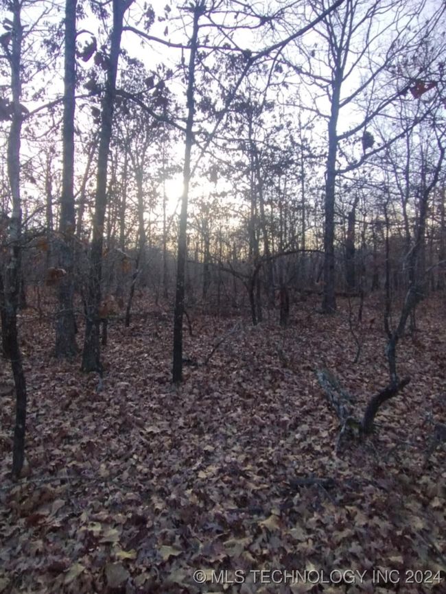 464776 Indian Rd, Home with 0 bedrooms, 0 bathrooms and null parking in Proctor OK | Image 7