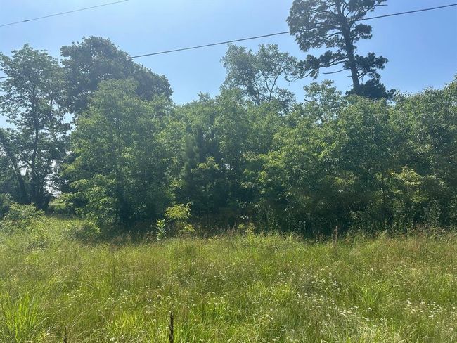 10 Fm 980 S, Home with 0 bedrooms, 0 bathrooms and null parking in Pointblank TX | Image 6