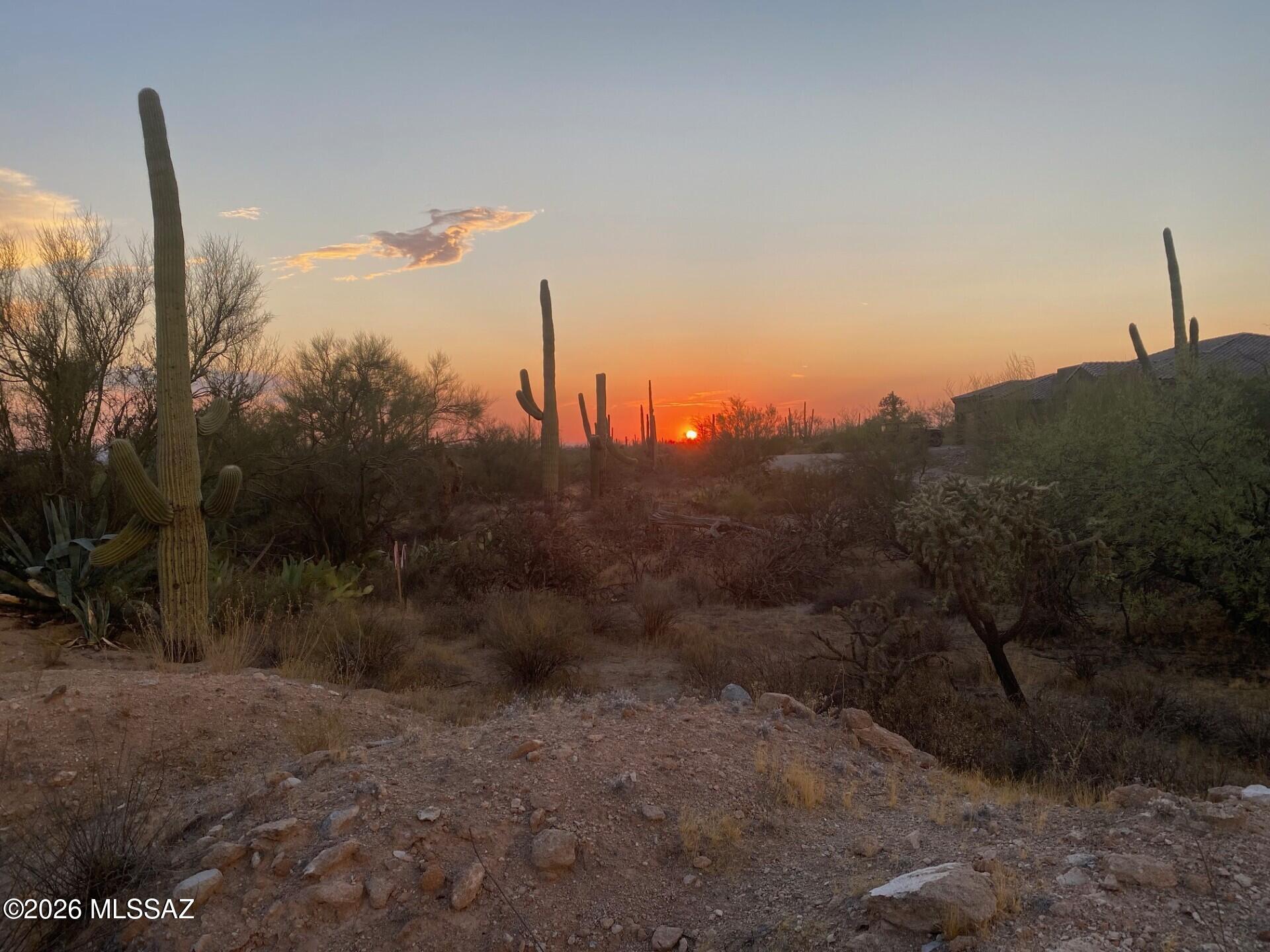 Land in Marana 2
