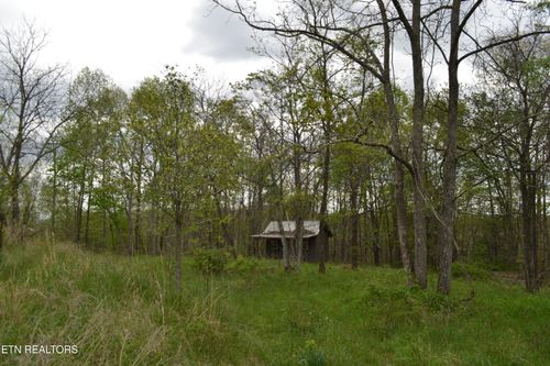 0 N Of Deer Lodge Hwy, Deer Lodge, TN, 37726 | Card Image