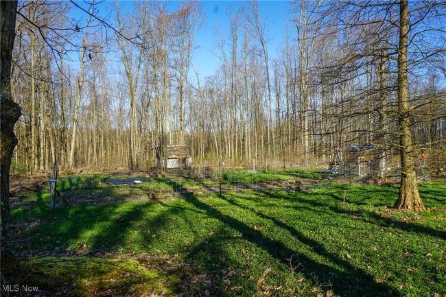 View of yard with a forest view | Image 26