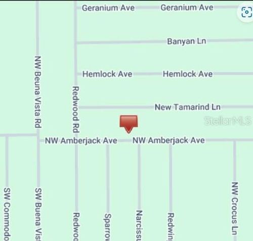 00 Nw Amberjack Avenue, DUNNELLON, FL, 34432 | Card Image