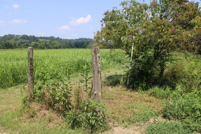 0 Shoal Creek Rd, Home with 0 bedrooms, 0 bathrooms and null parking in Minor Hill TN | Image 7