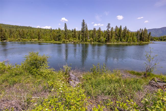 Water view with a forest | Image 111