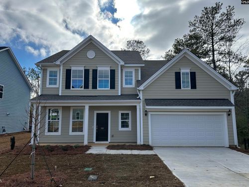 302 Rising Stream Way, Chapin, SC, 29036 | Card Image