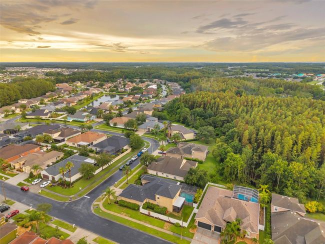 31646 Baymont Loop, House other with 5 bedrooms, 4 bathrooms and null parking in WESLEY CHAPEL FL | Image 89