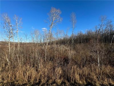 30 acres on State Hwy 27, Home with 0 bedrooms, 0 bathrooms and null parking in Ojibwa WI | Image 2