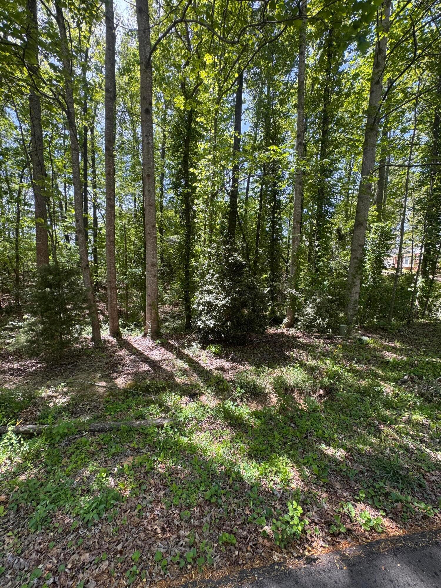 Land in Jasper 4