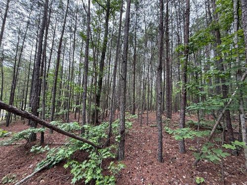0 Nature Walk Rd Sw, Rome, GA, 30161 | Card Image