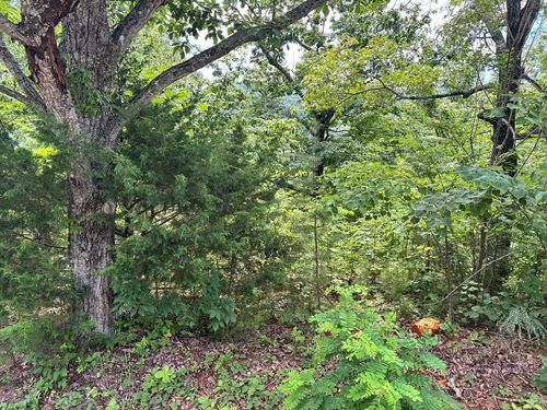 1.31 AC Wood River Ln, Allons, TN, 38541 | Card Image