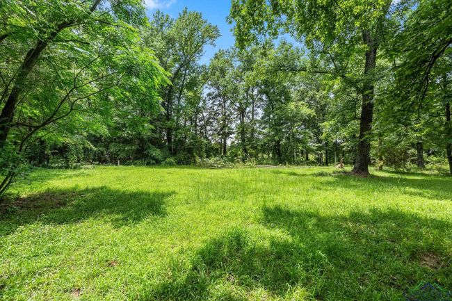 8103 Us Highway 259 N, House other with 4 bedrooms, 3 bathrooms and null parking in Omaha TX | Image 13
