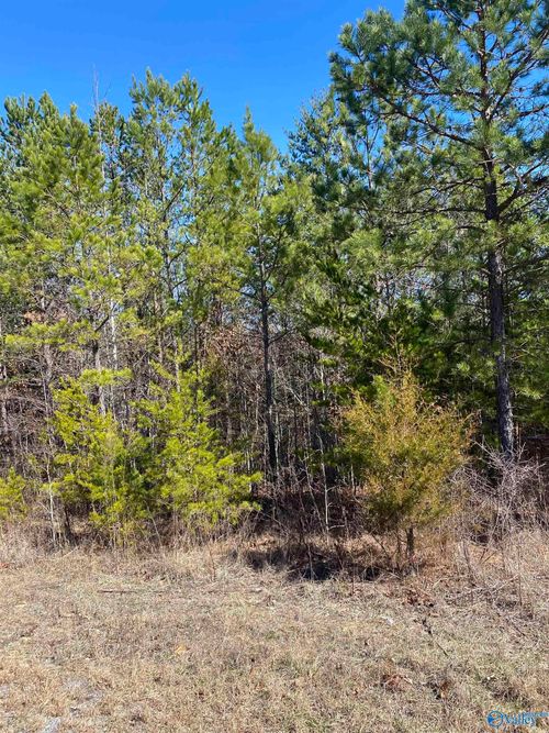 Lot 4 1st Add 1st St W, Fort Payne, AL, 35967 | Card Image
