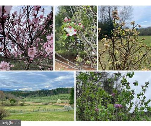 11 Dream St, Millboro, VA, 24460-2361 | Card Image