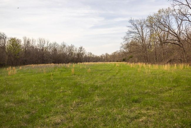 View of landscape featuring a rural view | Image 88