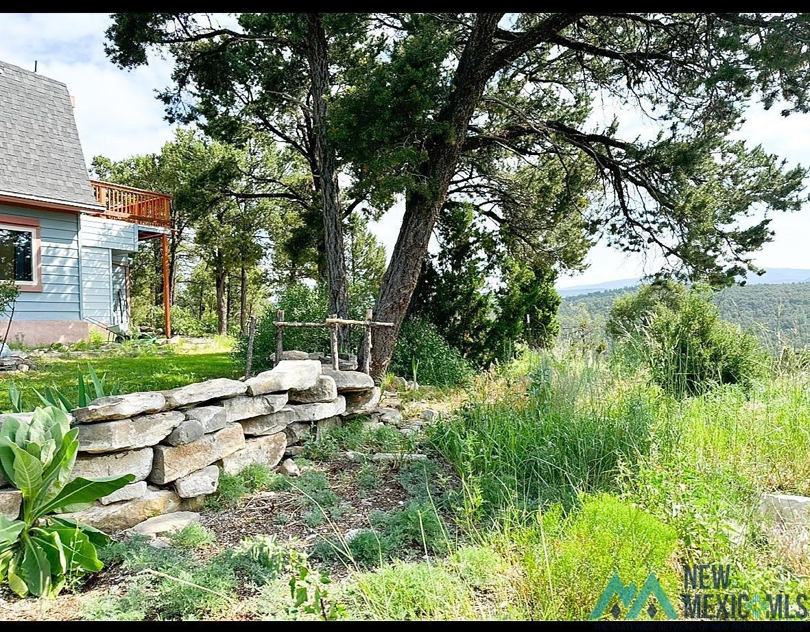 Residential in Pecos 3