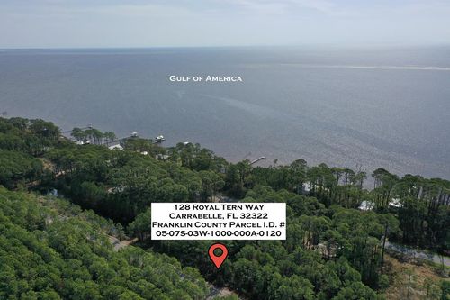 128 Royal Tern Way, Carrabelle, FL, 32322-8010 | Card Image