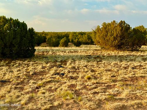2288 Sitgreaves St, Show Low, AZ, 85901 | Card Image