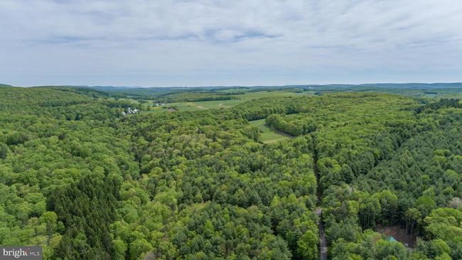 532 Pine Grove Rd, House other with 4 bedrooms, 4 bathrooms and null parking in LONACONING MD | Image 84