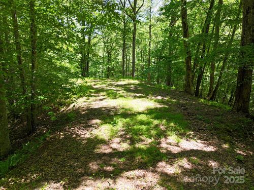46-0 Elkhorn Ridge Dr, Franklin, NC, 28734 | Card Image
