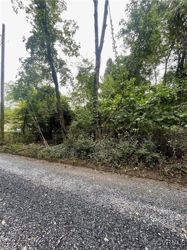 View of road | Image 5