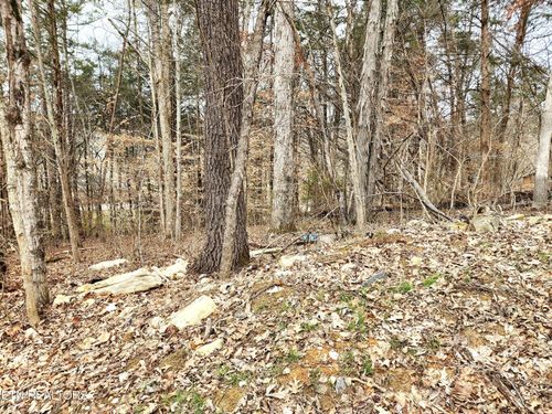 6 Lynn Dr, Maynardville, TN, 37807 | Card Image