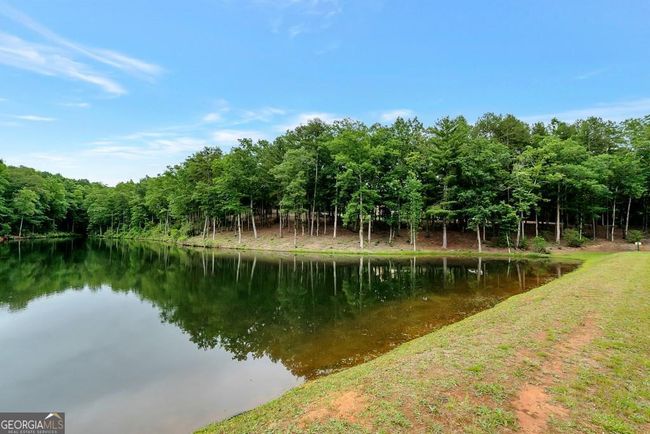 0 Rome Beauty Ln, Home with 0 bedrooms, 0 bathrooms and null parking in Clarkesville GA | Image 4