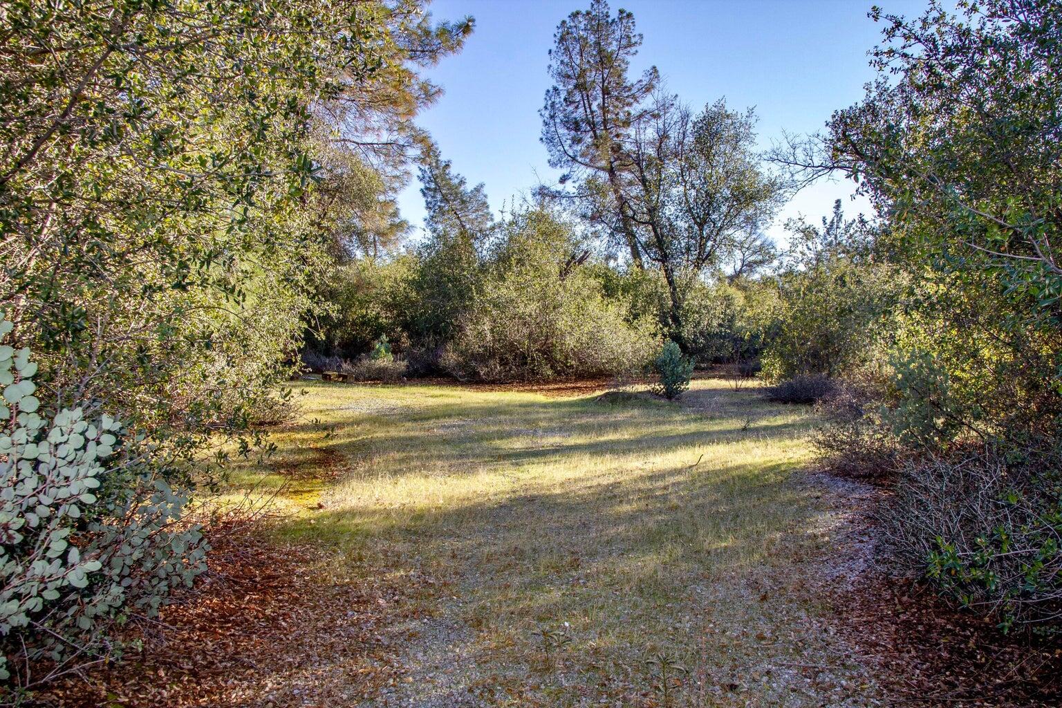 Land in Shingletown 5