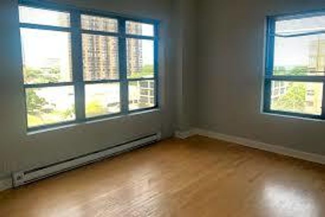 APT-2G - 732 Bittersweet Pl, Condo with 1 bedrooms, 1 bathrooms and null parking in Chicago IL | Image 7