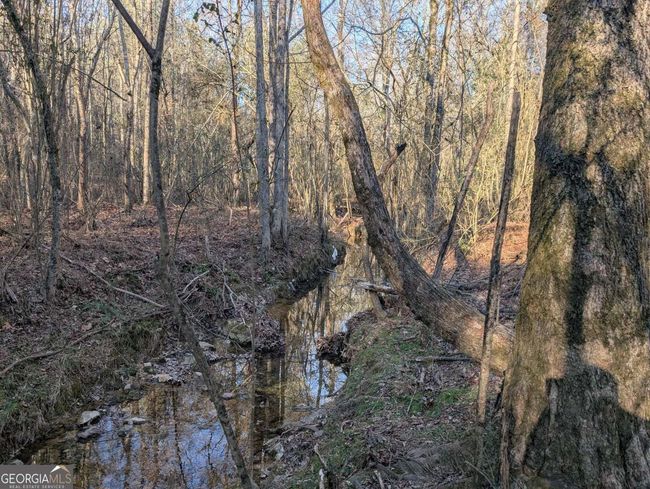 0 Ridgeway Rd, Home with 0 bedrooms, 0 bathrooms and null parking in Trion GA | Image 19