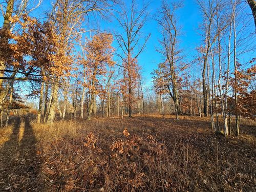 6 Settler Trl, Merrifield, MN, 56465 | Card Image