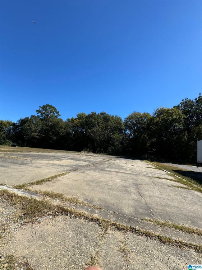 1 - 00 Main St, Home with 0 bedrooms, 0 bathrooms and null parking in Brent AL | Image 14