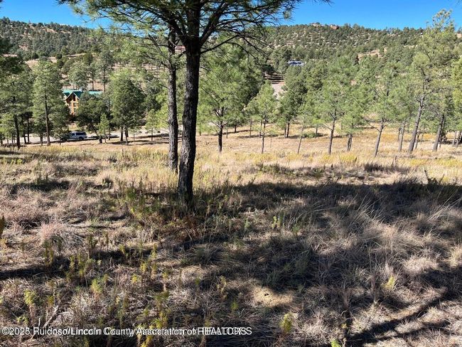 118 Charles Mcclellan Dr, Home with 0 bedrooms, 0 bathrooms and null parking in Ruidoso NM | Image 6