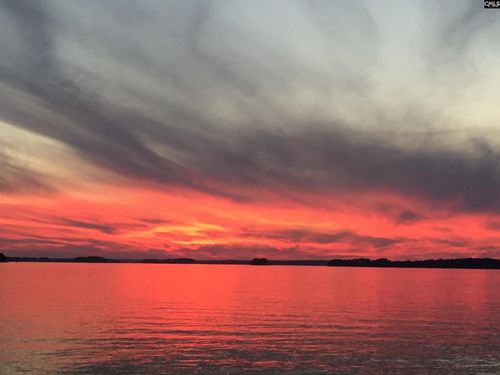 1145 Indian Summer Pt, Chapin, SC, 29036-9721 | Card Image