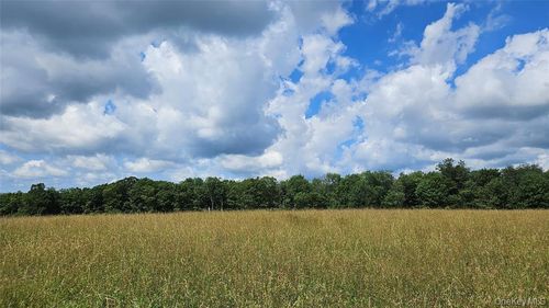 0 Stump Pond Road, Delaware, NY, 12724 | Card Image