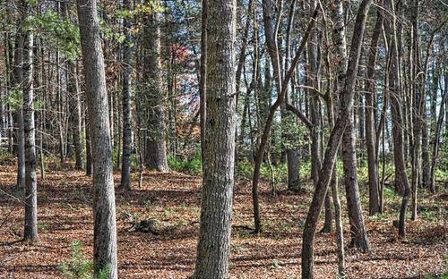  Fiddlers Cove, Blairsville, GA, 30512 | Card Image