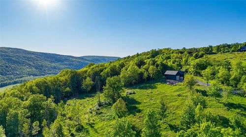 10.10 Cheese Hill Road, Rensselaerville, NY, 12147 | Card Image