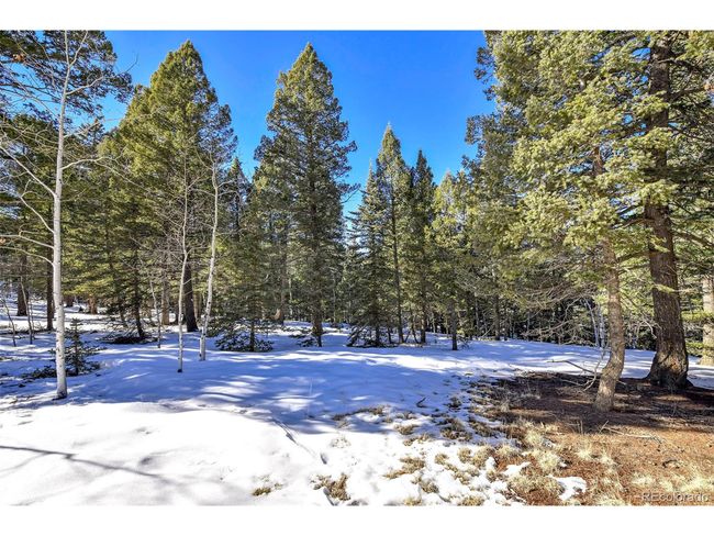 810 Ridge Rd, Home with 0 bedrooms, 0 bathrooms and null parking in Divide CO | Image 8